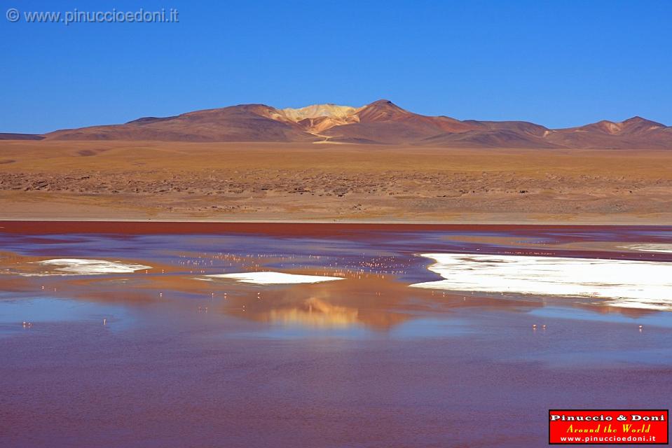 BOLIVIA 2 - Laguna Colorada - 13.jpg